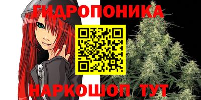 прущие грибы Краснокаменск