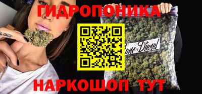 прущие грибы Краснокаменск